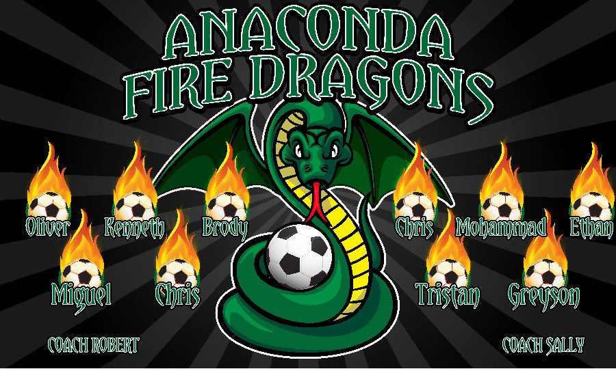3'x5' Vinyl Banner - Anaconda Fire Dragons