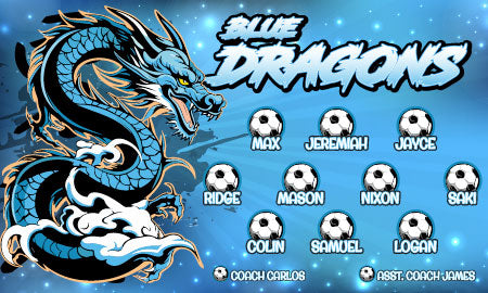 3'x5' Vinyl Banner - Blue Dragons