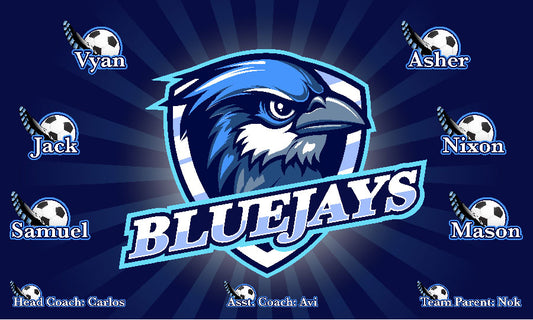 3'x5' Vinyl Banner -Blue Jays