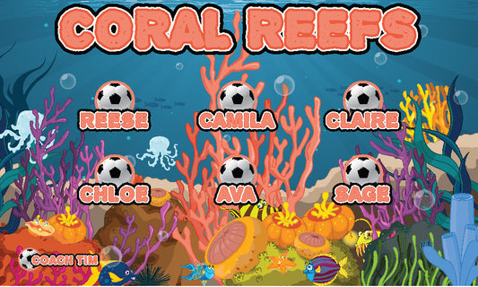 3'x5' Vinyl Banner - Coral Reefs