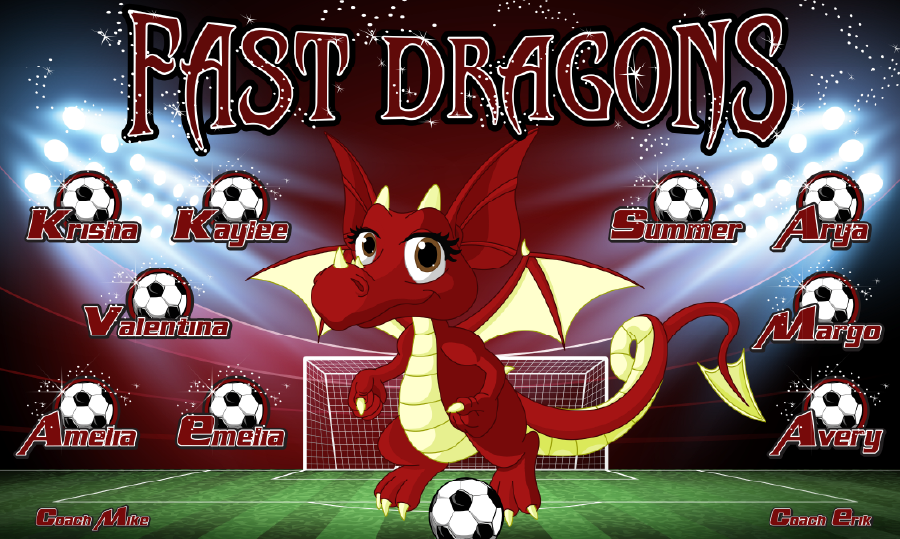 3'x5' Vinyl Banner - Fast Dragons