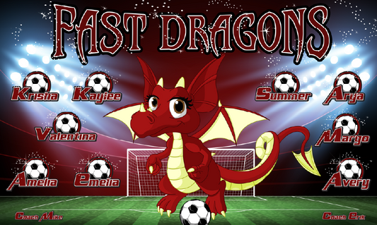 3'x5' Vinyl Banner - Fast Dragons
