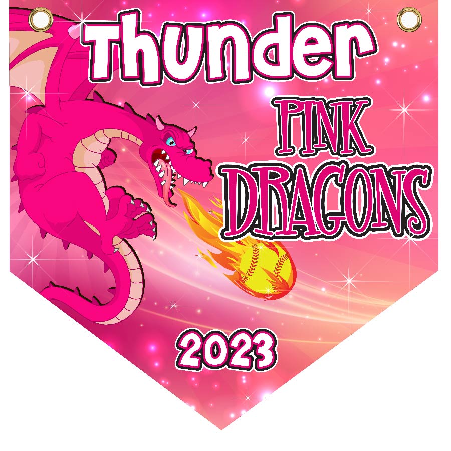 16" x 16" Home Plate Pennant - Pink Dragons