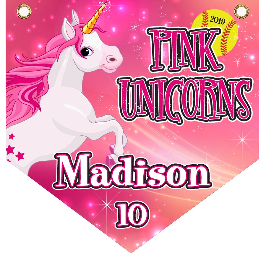 16" x 16" Home Plate Pennant - Pink Unicorns