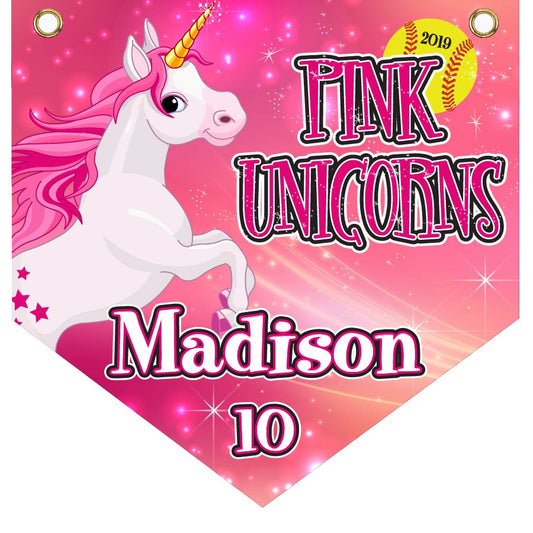 16" x 16" Home Plate Pennant - Pink Unicorns