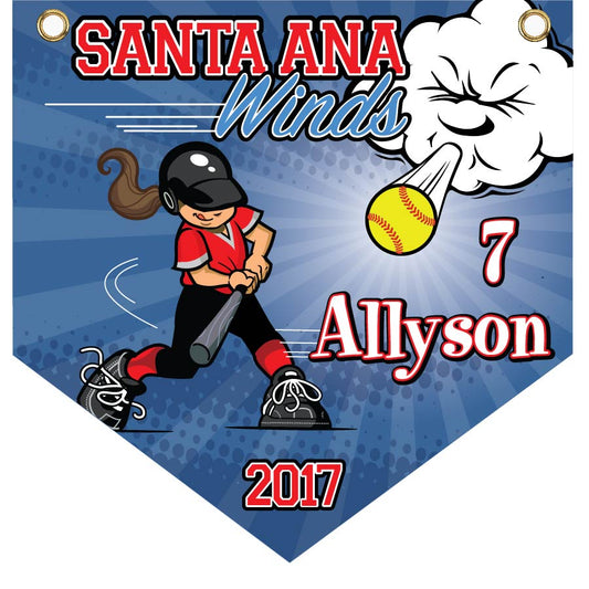 16" x 16" Home Plate Pennant - Santa Ana winds