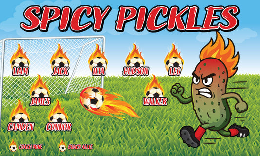 3'x5' Vinyl Banner - Spicy Pickles