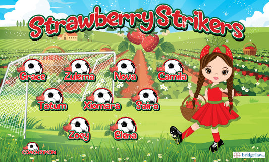 3'x5' Vinyl Banner - Strawberry Strikers