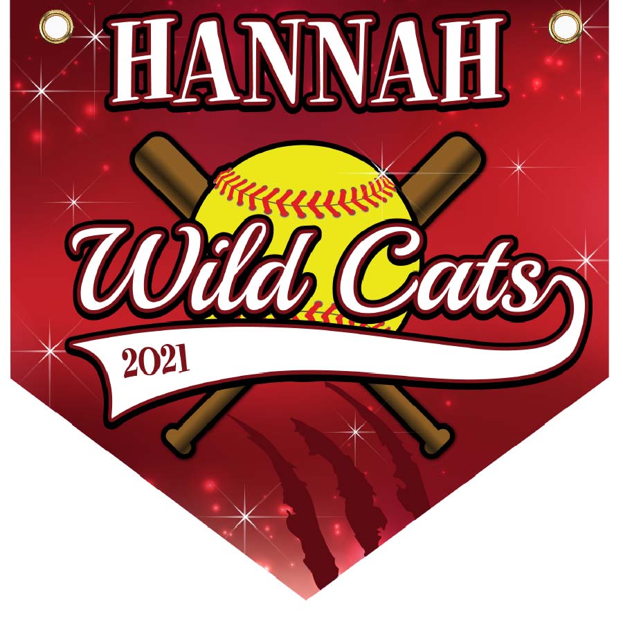 16" x 16" Home Plate Pennant - Wild Cats (Bats)
