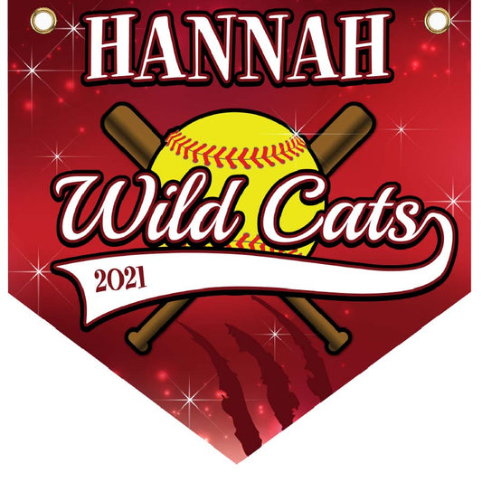 16" x 16" Home Plate Pennant - Wild Cats (Bats)