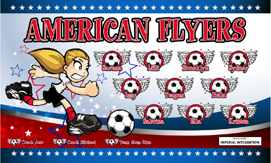 3'x5' Vinyl Banner - American Flyers