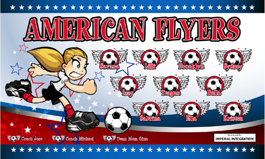 3'x5' Vinyl Banner - American Flyers
