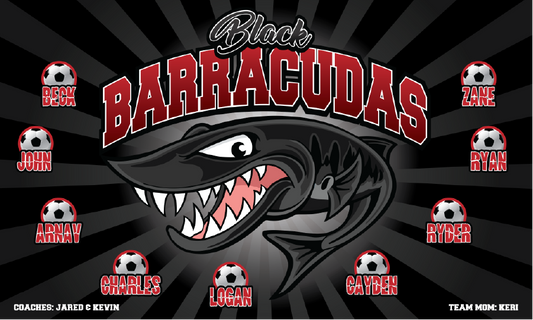 3'x5' Vinyl Banner - Black Barracudas