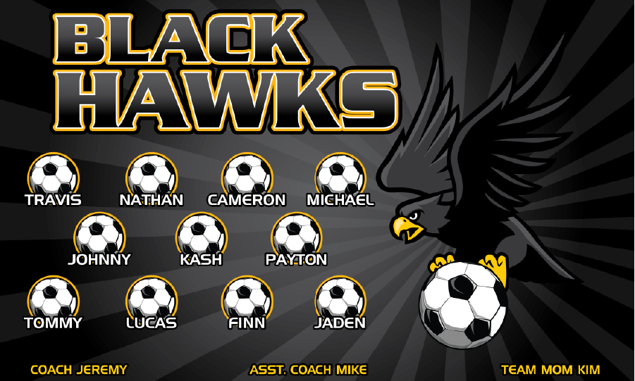 3'x5' Vinyl Banner - Black Hawks