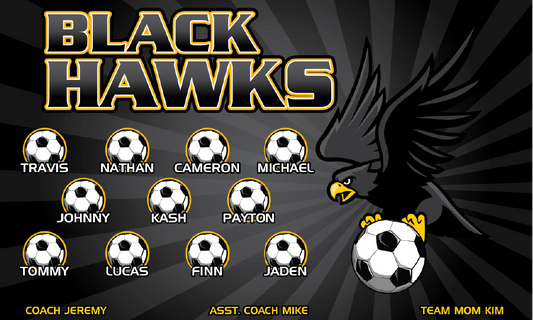 3'x5' Vinyl Banner - Black Hawks