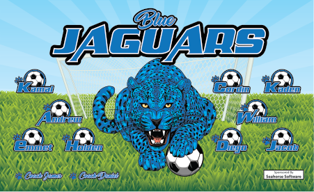 3'x5' Vinyl Banner - Blue Jaguars