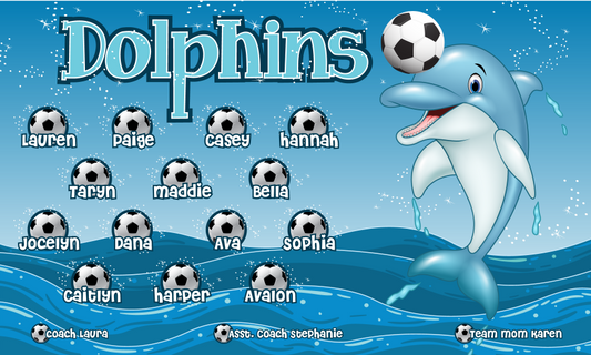 3'x5' Vinyl Banner - Dolphins
