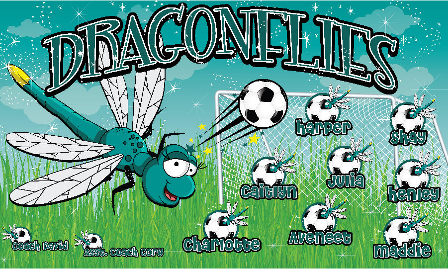 3'x5' Vinyl Banner - Dragonflies