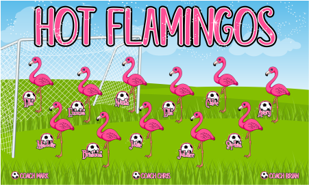 3'x5' Vinyl Banner - Hot Flamingos