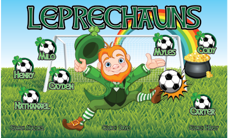 3'x5' Vinyl Banner - Leprechauns