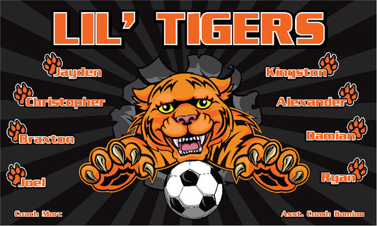 3'x5' Vinyl Banner - Lil Tigers