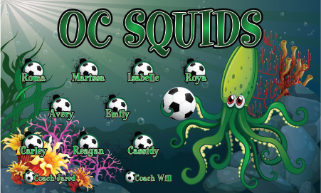 3'x5' Vinyl Banner - OC Squid