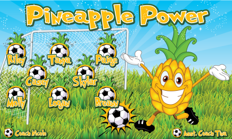 3'x5' Vinyl Banner - Pineapple Power
