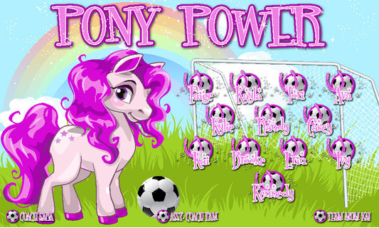 3'x5' Vinyl Banner - Pony Power