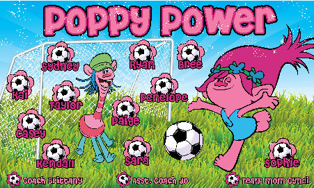 3'x5' Vinyl Banner - Poppy Power