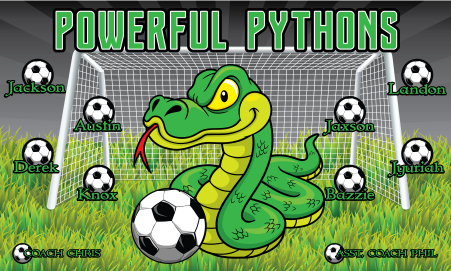 3'x5' Vinyl Banner - Powerful Pythons – Blackline