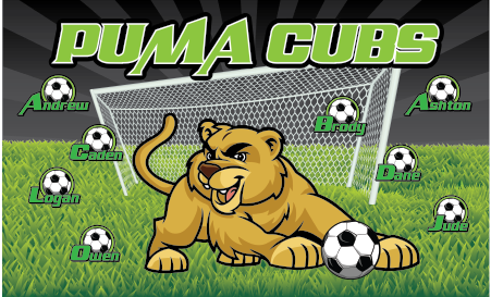 3'x5' Vinyl Banner - Puma Cubs