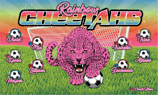 3'x5' Vinyl Banner - Rainbow Cheetahs