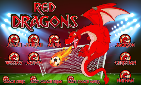 3'x5' Vinyl Banner - Red Dragons (Night)