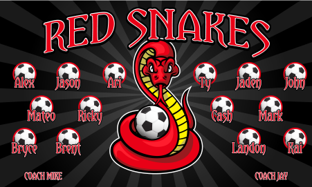 3'x5' Vinyl Banner - Red Snakes