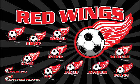 3'x5' Vinyl Banner - Red Wings