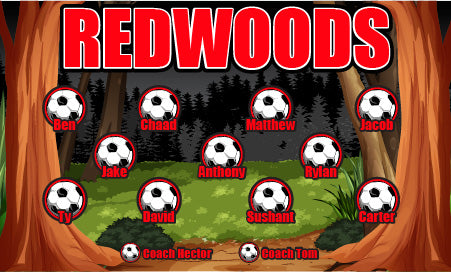 3'x5' Vinyl Banner - Redwoods
