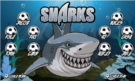 3'x5' Vinyl Banner - Sharks