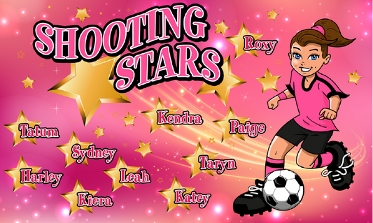 3'x5' Vinyl Banner - Shooting Stars