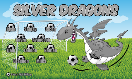 3'x5' Vinyl Banner - Silver Dragons