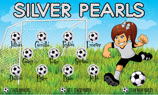 3'x5' Vinyl Banner - Silver Pearls