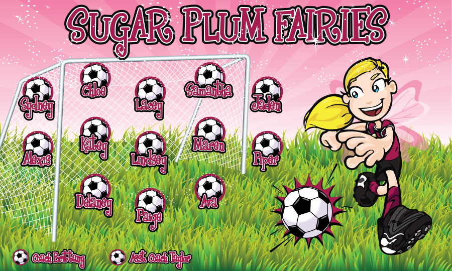 3'x5' Vinyl Banner - Sugar Plum Fairies