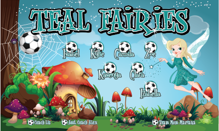 3'x5' Vinyl Banner - Teal Fairies