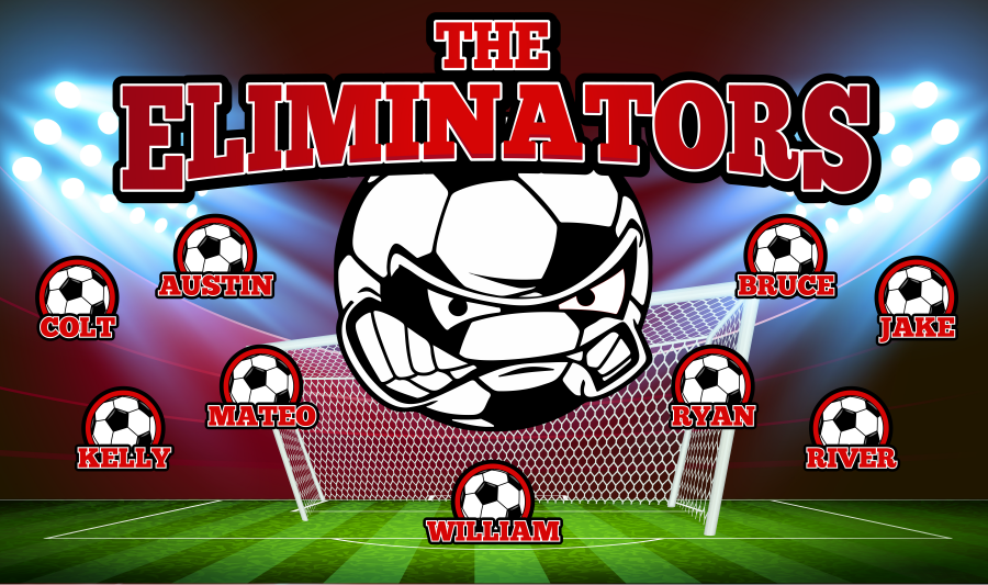 3'x5' Vinyl Banner - The Eliminators
