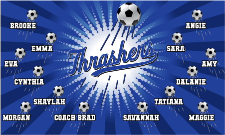 3'x5' Vinyl Banner - Thrashers