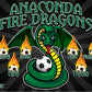 3'x5' Vinyl Banner - Anaconda Fire Dragons