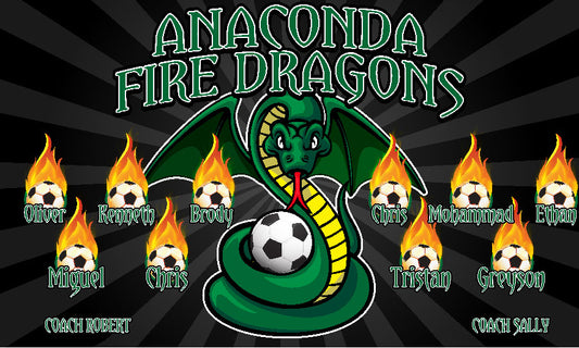 3'x5' Vinyl Banner - Anaconda Fire Dragons