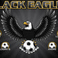 3'x5' Vinyl Banner - Black Eagles