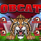 3'x5' Vinyl Banner - Bobcats