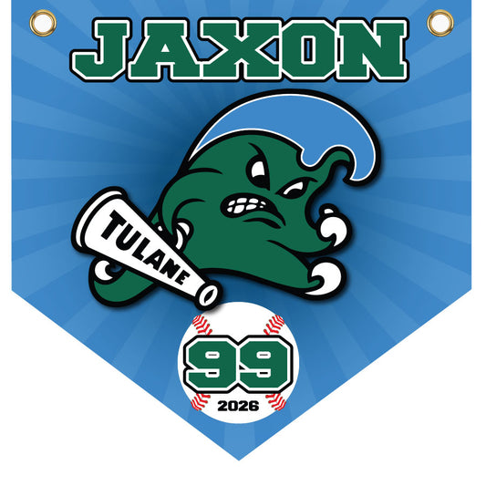 16" x 16" Home Plate Pennant - Green Waves (Blue)