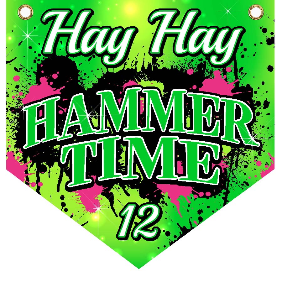 16" x 16" Home Plate Pennant - Hammer Time